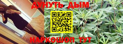 каннабис Новозыбков