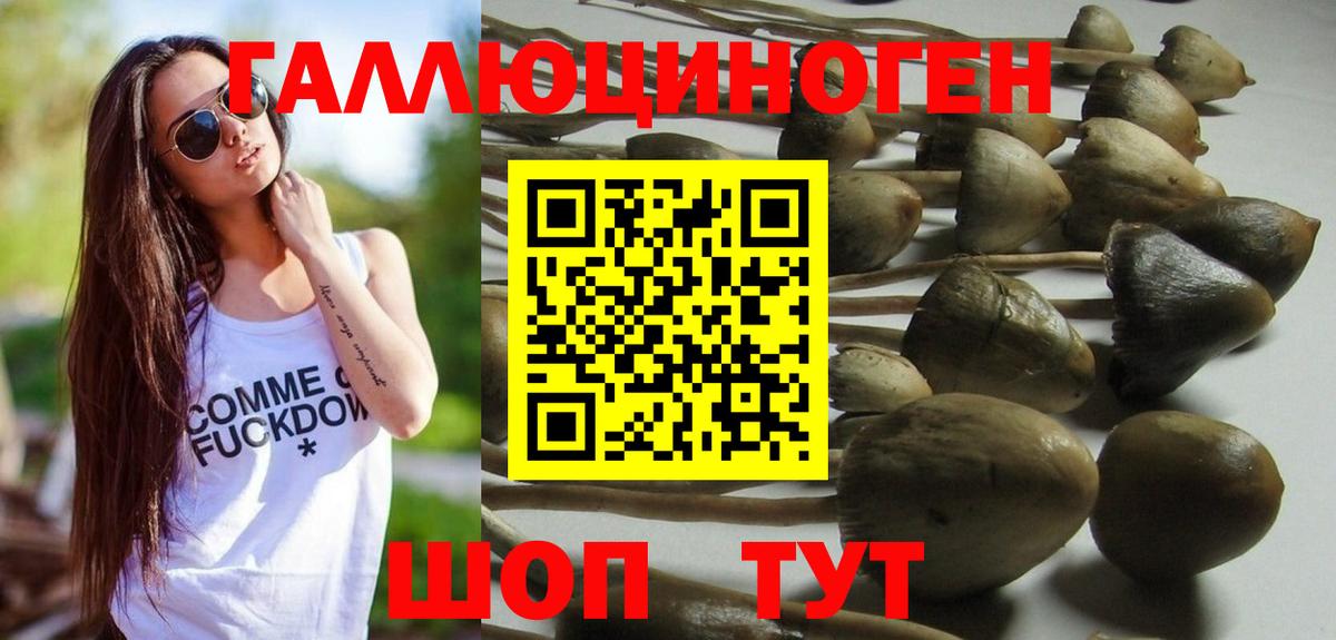 Псилоцибиновые грибы мухоморы  Галлюциногенные грибы MAGIC MUSHROOMS  Вход с VPN  Торжок 